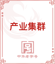 产业集群 产业集群
