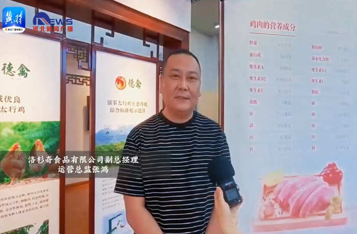 河北广播电视台冀时客户端：老字号 新国潮 | 百年金凤振翅飞：一只扒鸡的守正创新路